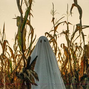 年轻的朋友来相会-李谷一&嘿嘿嘿，怎么说-丹尼尔 beat