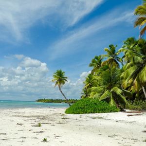 水墨丹青（高效治愈轻音乐）