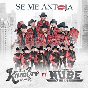 Se Me Antoja (feat. Conjunto Nube)