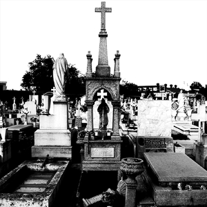 Vacuola Universal de Penuria y Decadencia