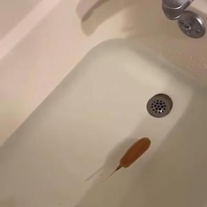 DAS IST NOCH BERLIN!