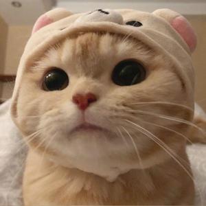 遇见（翻自 孙燕姿）