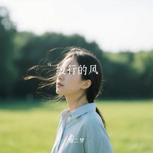 缓行的风