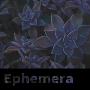 紙飛行機 feat.Michelle