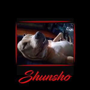SHUNSHO (DEMO)
