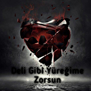 Deli Gibi Yüreğime Zorsun