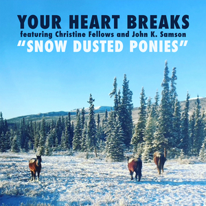 Snow Dusted Ponies