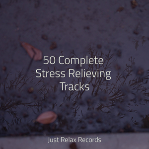 Melodic Soul's Journey