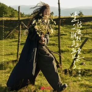 生活的低潮期马上就要过去了加速版