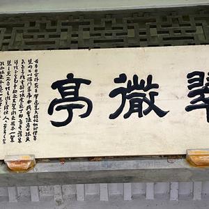 l wanna be your slave