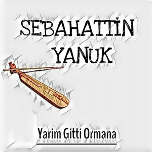 Yolun Karıncasını