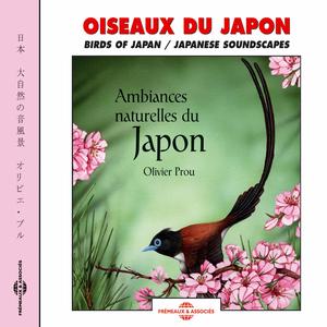 The Sea And Blue Rock Thrush On Kakeroma Island