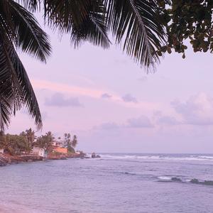 张震岳-Sugar Free（JayK杨可 remix）