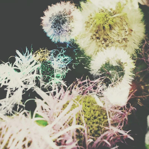 無感情ルーティン