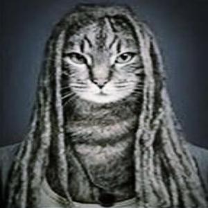 1000 (feat. R.T.R Aso)