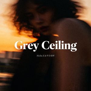 Grey Ceiling