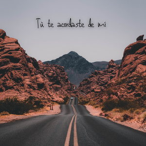 Tú te acordaste de mí