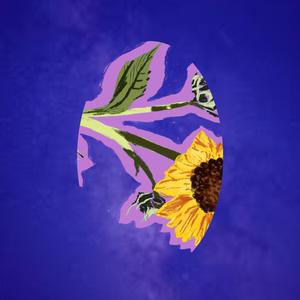 Marseille (vs accoustique)