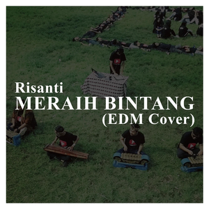 Meraih Bintang (EDM Cover)