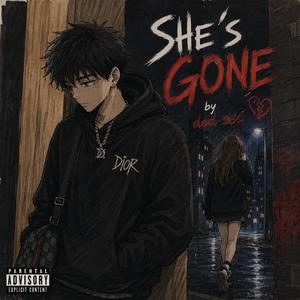 She´s Gone