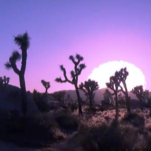 Diszkó szexizés (feat. Doraxplorer)