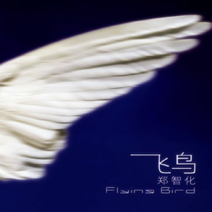 飞鸟(伴奏)