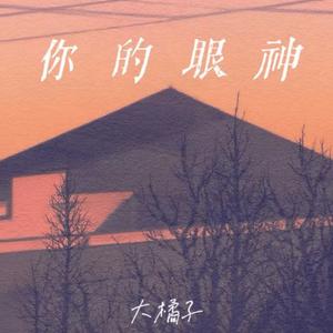 你的眼神