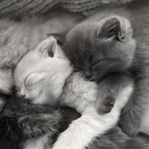 音频提取_212642_track1