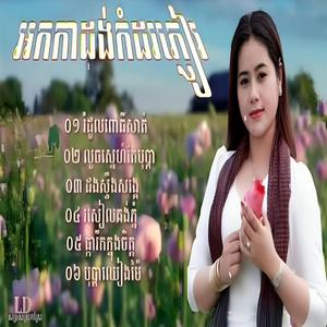 រំដួលពោធិ៍សាត់ ជ្រើសរើស បទអកកេះពិរោះ ៗលួចស្នេហ៍បុប្ផាក្រពំុ អកកាដង់កំដរភ្ញៀវ