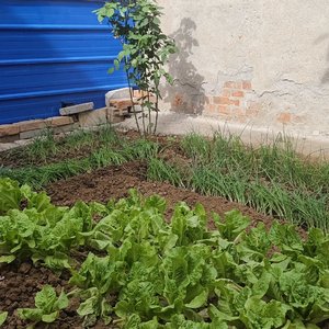 人间明灯照亮亲情归程