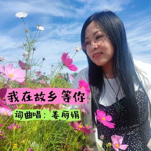 我在故乡等你（新版）