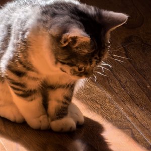 我和你的眼睛是交织的二十三条树脉.mp3