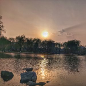 寒鸦少年_霄dimlight