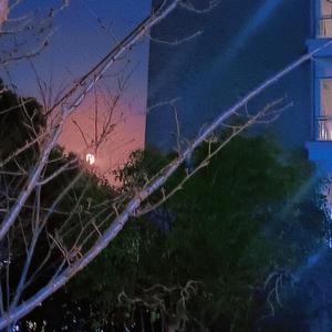 在九月结束的时候与你告别