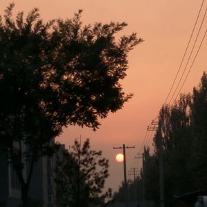 殉情的抹香鲸_缩混