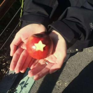 姐姐真漂亮Replay