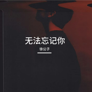 无法忘记你
