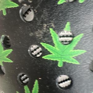 Acapella?( Freestyle )