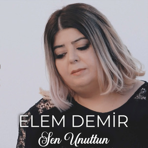 Sen Unuttun