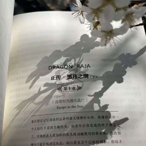 萤火虫与夏夜未眠的海