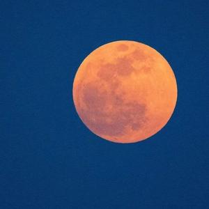 半生雪（抖音）