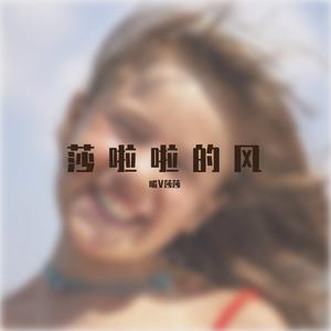 莎啦啦的风（纯音乐）