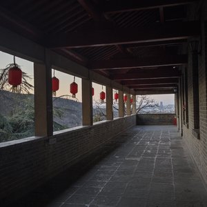 《望乡月光》
