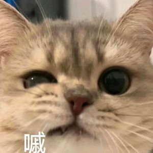 准备好下班-整曲