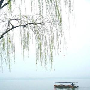 向自由出发