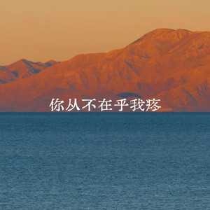 你从不在乎我疼