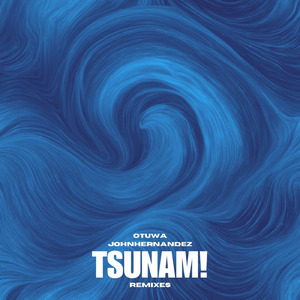TSUNAM! (cruiseship remix)