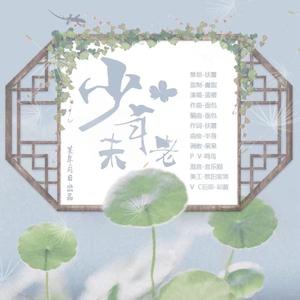 少年未老（伴奏）