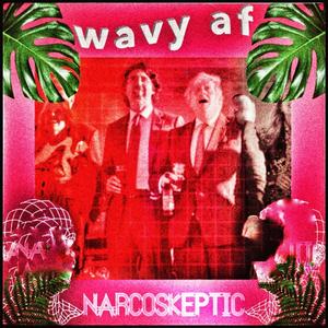 It Really Whips The Llamma's Ass