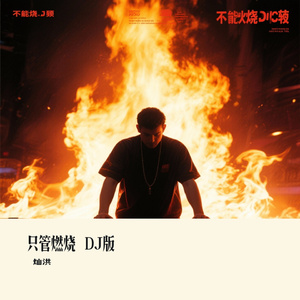 只管燃烧 DJ版